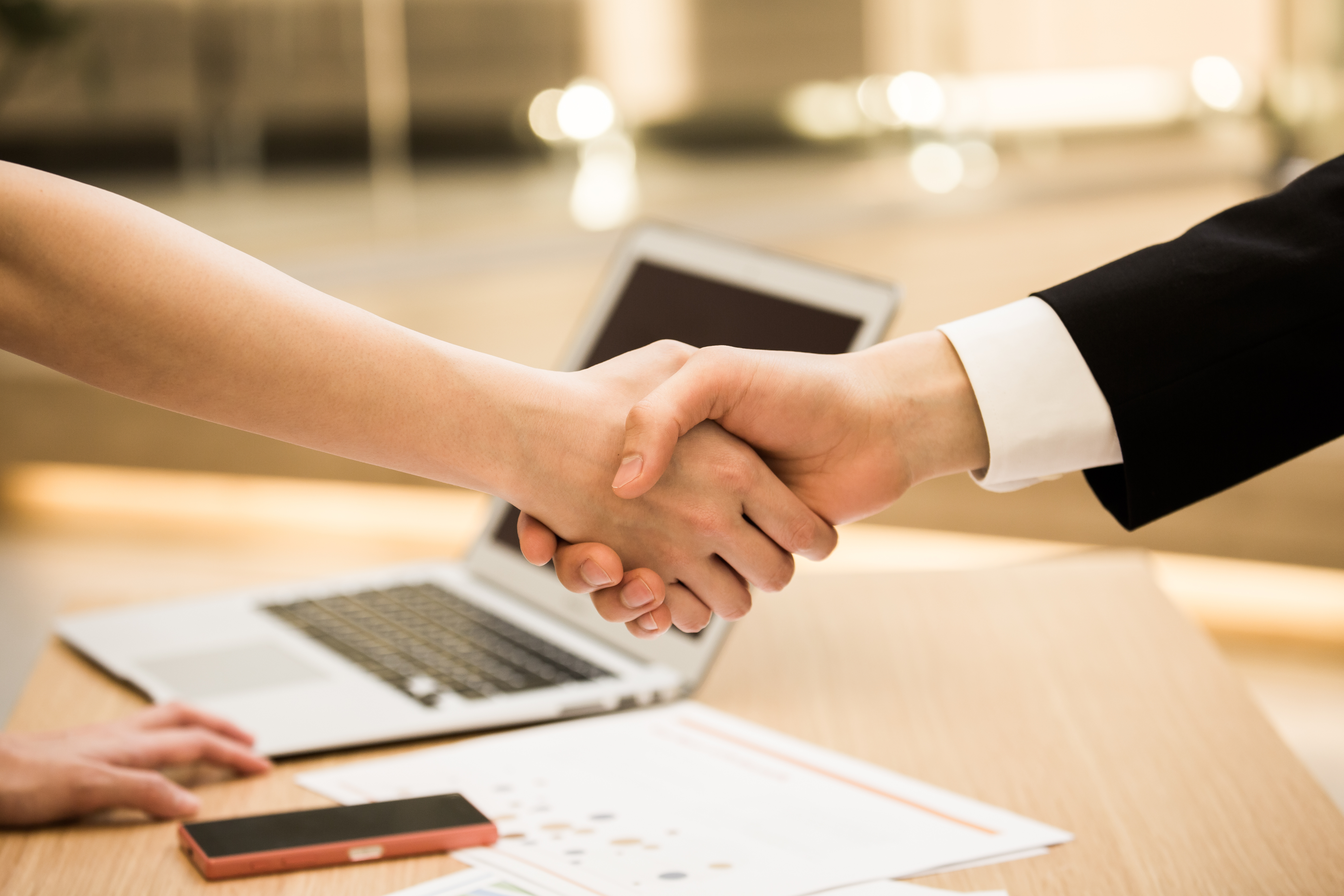 Photo of rows of books in a library with marble busts.